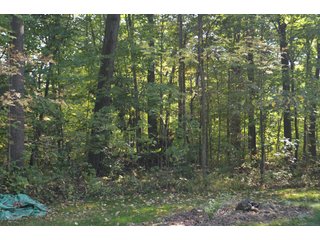 Property photo 53 - REAL ESTATE AUCTION IN ALLEN CO., INDIANA